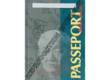 Passeport adulte version 2004